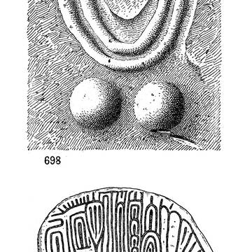 Grotte du Renard à Marseille